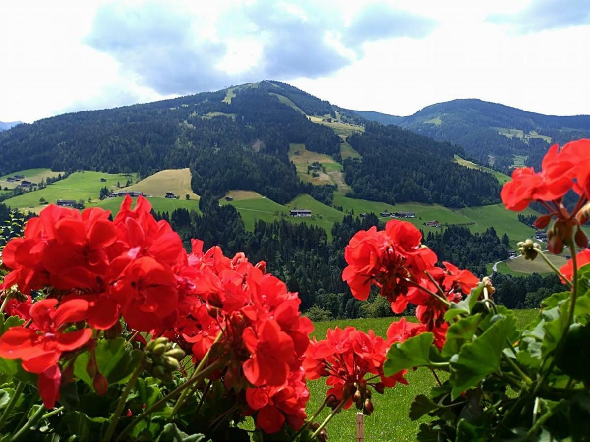 Aussermooserhof Alpbach Εξωτερικό φωτογραφία